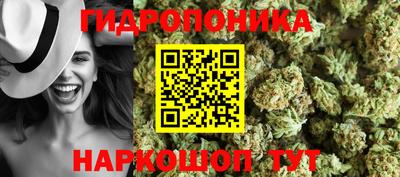 гашик Канаш
