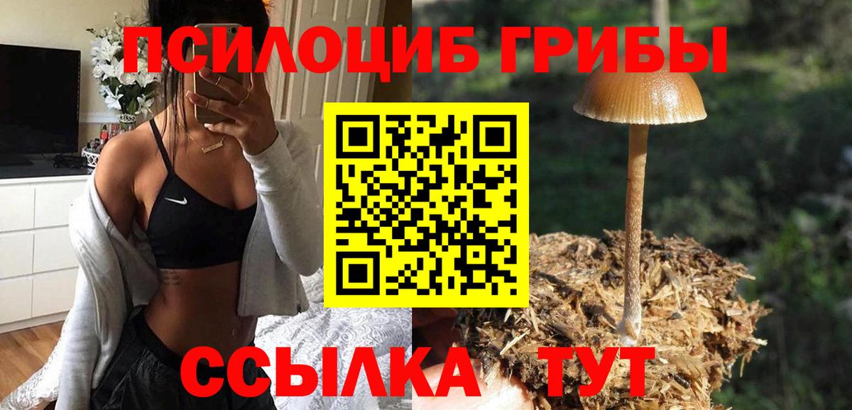 Галлюциногенные грибы Magic Shrooms  Вход с VPN  Мурино  Галлюциногенные грибы ЛСД 